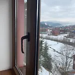калина *